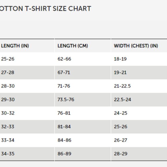 The Mountain Bears Rocky Outcrop Grizzly Black Bear Forest Cotton T-Shirt M-2X - Picture 2 of 3